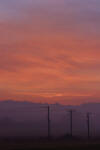Telegraph poles at sunset